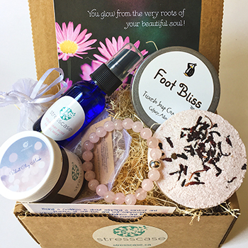 a stresscase care kit