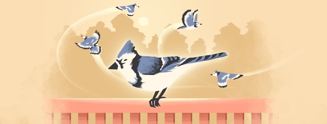 A bluejay is perched on a ledge while other jays fly around in the background of bright, soft light.