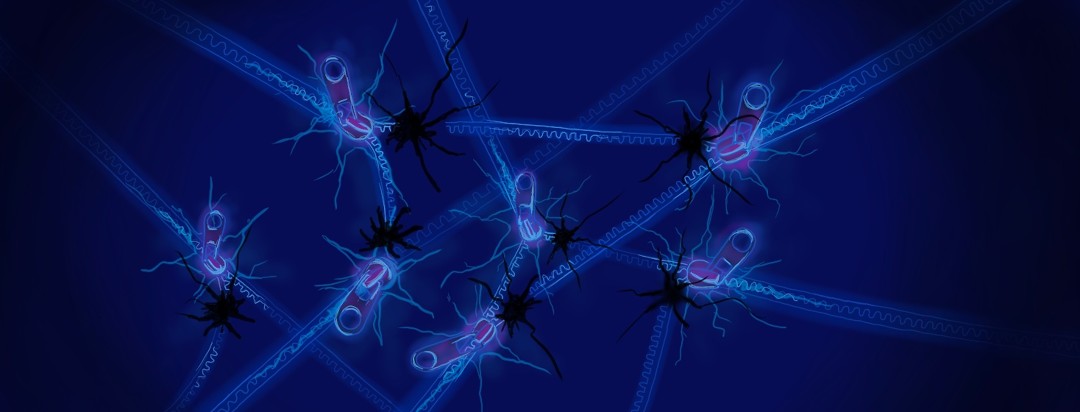 Network of zippers with missing teeth sending interrupted signals to each other like damaged neurons.