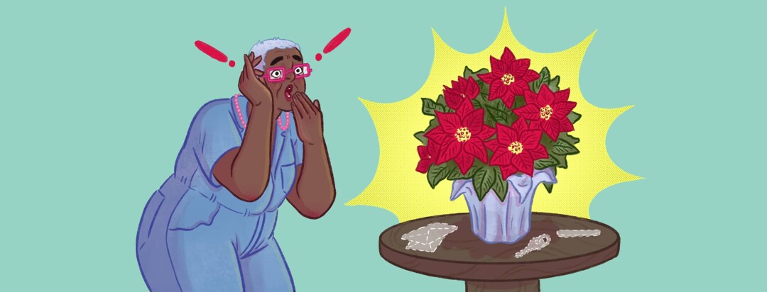 A senior woman looks at a poinsettia on a table in shock and surprise while adjusting the glasses on her face, there are ghostly images of keys, mail, and a nail file on the table